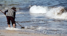 엄마의 봄 바다