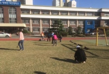 대전맹학교, 시각장애 특수학교 첫 파크 골프장 운영