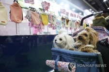 [주말 N 여행] 수도권: 반려동물, 모든 게 다 있다…인천 송도 프리미엄 펫쇼
