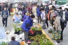 봄 향기 진동 전국 최고 농산물 직거래장터…원주 새벽시장 개장