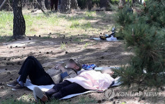 솔향 맡으며 더위 탈출