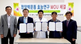 미세먼지 해독 효과 얼마나… 청양 맥문동 성분 연구 착수