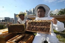 괴산 꿀벌랜드 8월 개관…벌꿀 판매·전시 체험장 갖춰