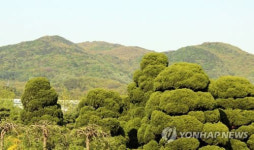 금강 낀 세종시 산자락 따라 159㎞ 둘레길 만든다