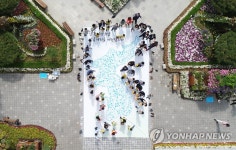 구청 광장에 만들어진 한반도기