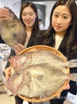 부산 생선 달고기