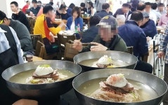 [카메라뉴스] 남북정상회담 날 우리도 평양냉면