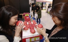 경상북도 사과는 어떤 맛?