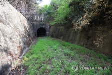 잡초 무성한 동해북부선 옛 터널