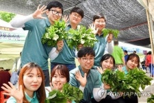 봄 먹거리 힐링 여행…정선 곤드레 산나물축제