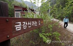 두타연에서 만나는 금강산 가는길
