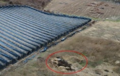 대청호 녹조 줄이자…축산분뇨 드론으로 감시