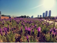 울산 태화강대공원 사계절 꽃 내음 나는 향기정원 변신