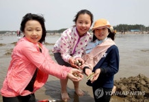 제가 조개 잡았어요