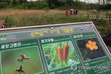 동해안 대표 습지 강릉 순포 습지 복원