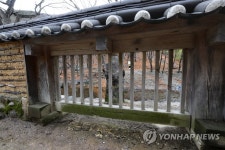 독락당 담장의 나무 살창