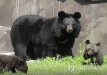 반달가슴곰 기름 무단 판매한 곰사육조합 이사장…벌금형 확정