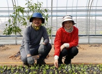 억대 소득 꿈꾸는 작두콩 부부