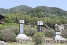세계중요농업유산 하동 야생차 격이 다르다
