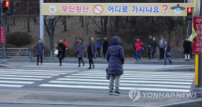 횡단보도서 무단횡단 사망사고…법원 버스기사 무죄