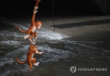 긴박한 다리 밑 상황