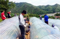 농번기 일손을 도와드려요…진안군 공무원 일손돕기 앞장