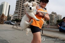 반려견 심혈관질환 피하려면 겨울생 들이세요