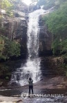 NAVER検索結果の写真 6