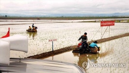 북한의 모내기 풍경