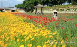춘향이 놀던 남원 광한루 앞 꽃천지