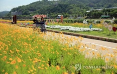 춘향이 놀던 남원 광한루 앞 꽃천지