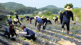 슬기로운 농촌생활