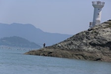 숭어회 먹고, 상괭이도 보고…해남 임하도로 오세요