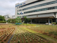 [카메라뉴스] 작은농장 탈바꿈한 안양 동안구청