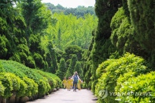 베어트리파크 곰도 보고 향나무도 보고