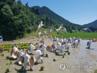 보은 장안 두레농요 재현