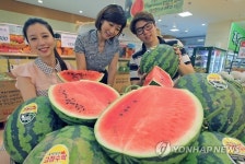 '고창의 명물' 복분자와 수박을 한 자리에서…22일부터 축제