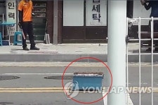 세종서 대낮 벌떼 소동