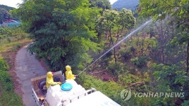 돌발해충 방역 '총력전'