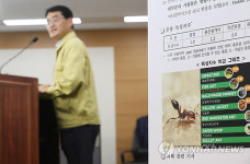 잇따른 붉은불개미…코코넛껍질 등 컨테이너 모두 열어본다
