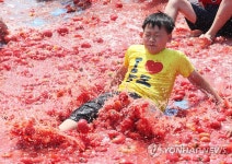 여기가 토마토 천국