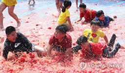 여기가 토마토 천국