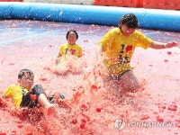 여기가 토마토 천국