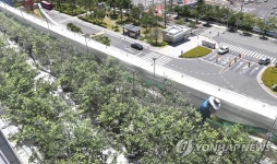 법원 옥상에 숨겨진 블루베리 농장