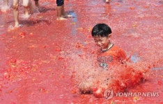 여기가 토마토 천국