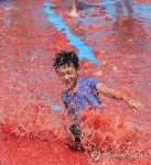 여기가 토마토 천국