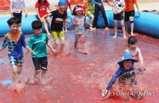 여기가 토마토 천국