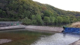 기능상실 탄천 미금보, 여울로 재탄생