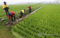 장맛비에 물꼬 정비