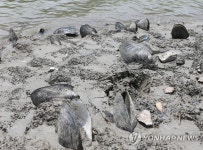 괴산 산막이옛길 선착장 인근 펄서 폐사한 조개